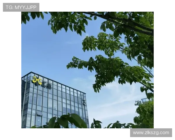 选择z6尊龙凯时平台的五大理由，体验最专业的线上博彩服务